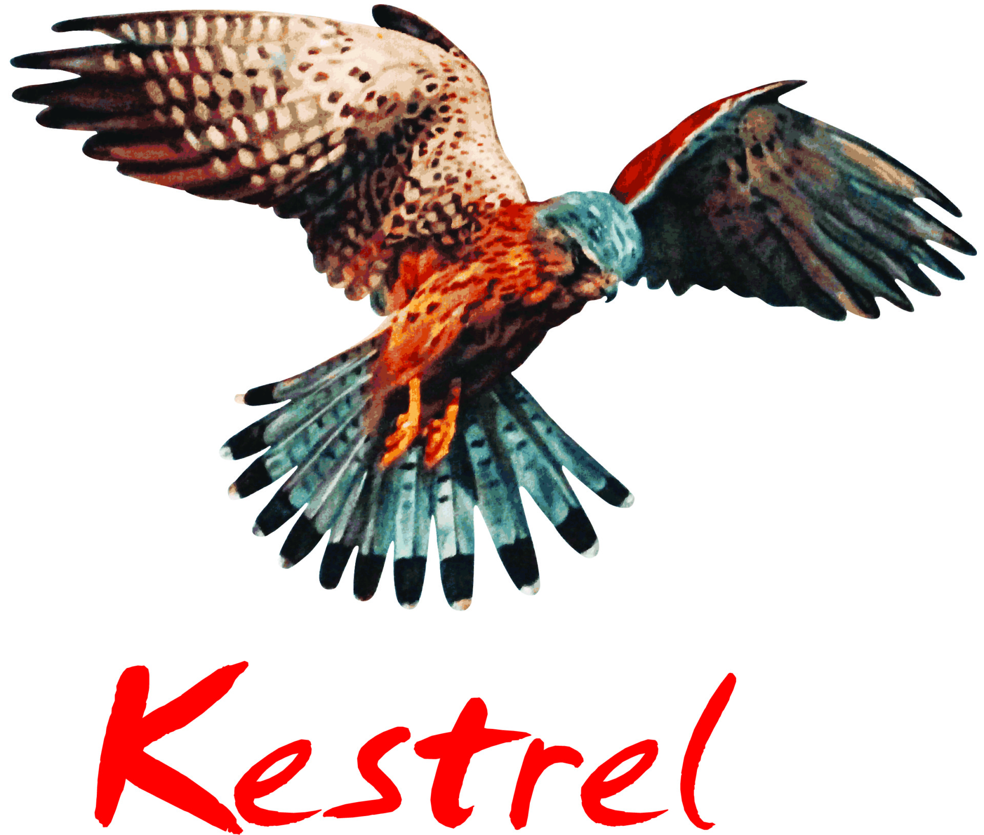 Kestrel-Group-New-Logo-CMYK